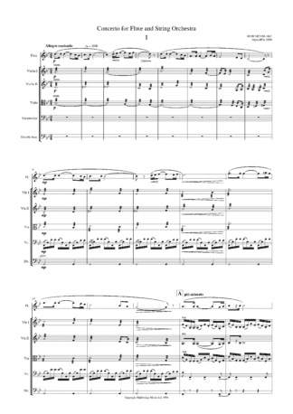 Flute Concerto, op.493A - full score